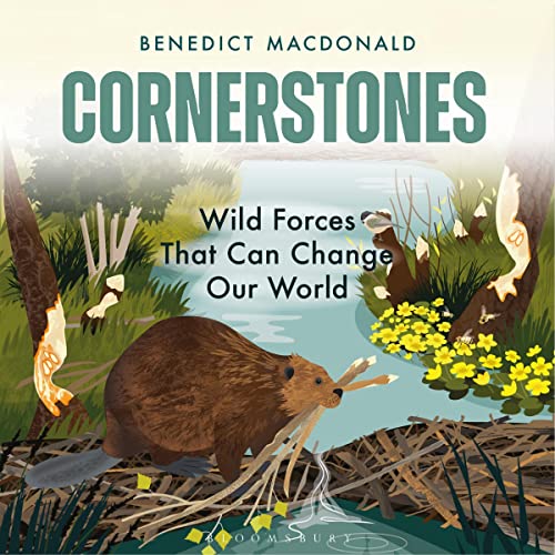 Cover of Cornerstones