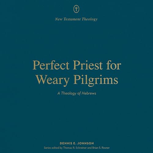 Cover of Perfect Priest for Weary Pilgrims