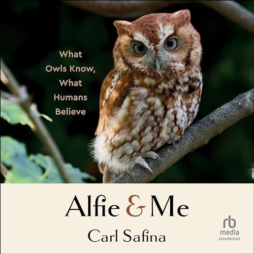 Cover of Alfie and Me