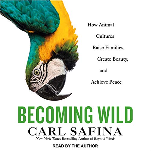 Cover of Becoming Wild