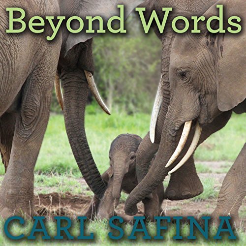 Cover of Beyond Words