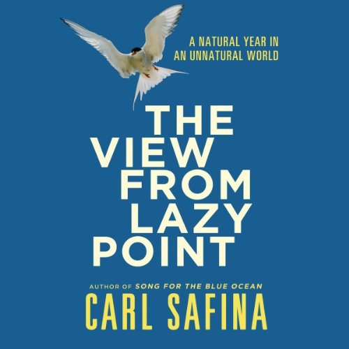 Cover of The View From Lazy Point