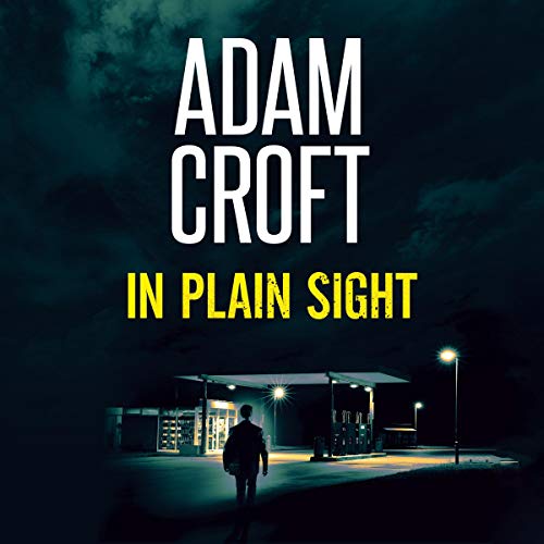 Cover of In Plain Sight
