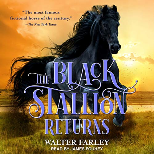 Cover of The Black Stallion Returns