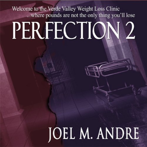 Cover of Perfection 2