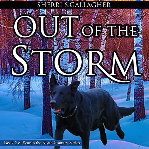 Cover of Out of the Storm