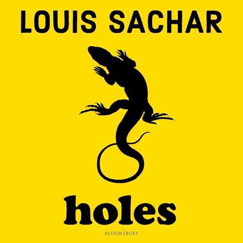 Cover of Holes
