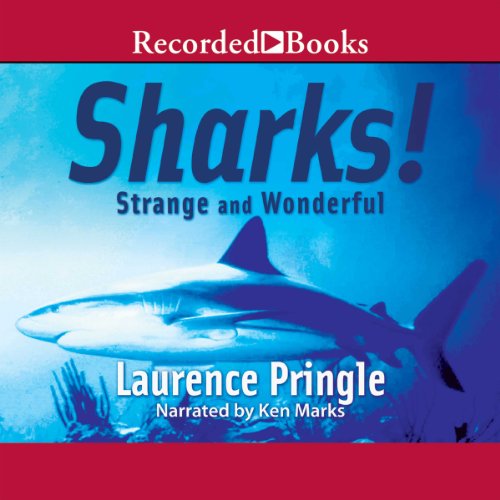 Cover of Sharks! Strange and Wonderful