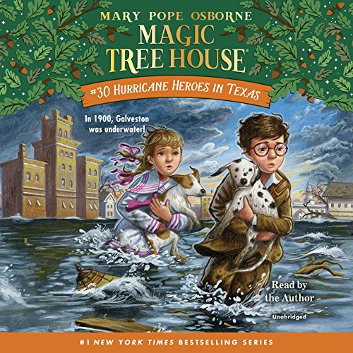 Cover of Hurricane Heroes in Texas