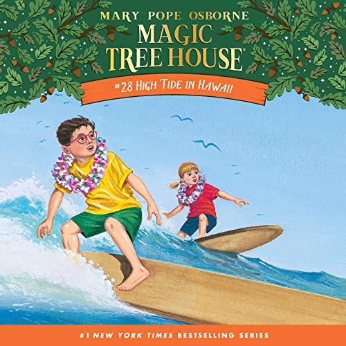 Cover of High Tide in Hawaii