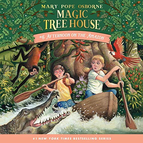 Cover of Afternoon on the Amazon