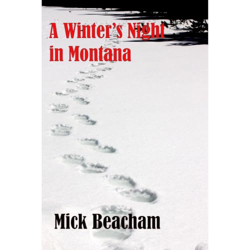 Cover of A Winter's Night in Montana