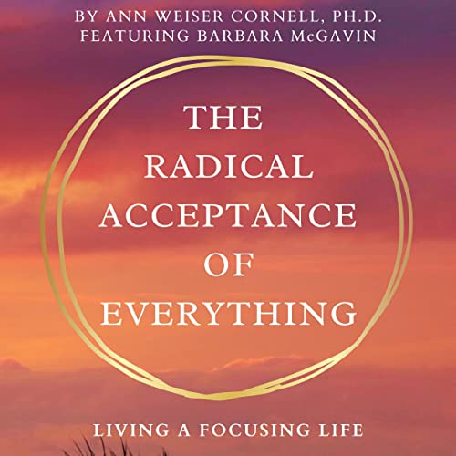 Cover of The Radical Acceptance of Everything