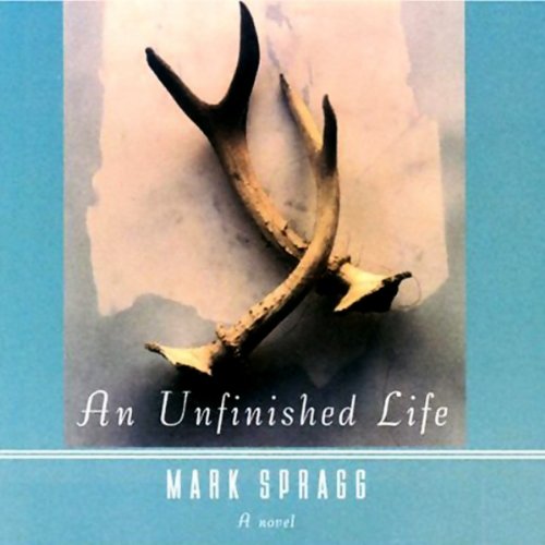 Cover of An Unfinished Life