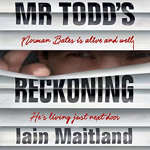 Cover of Mr Todd's Reckoning