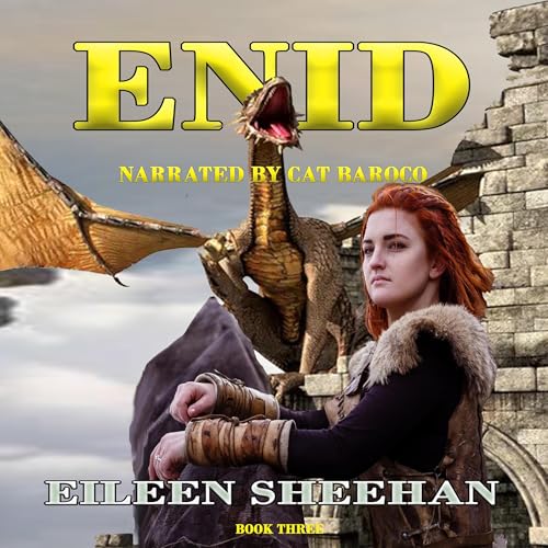 Cover of ENID, Book 3