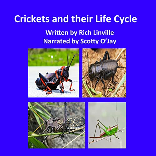 Cover of Crickets and Their Life Cycle