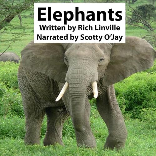 Cover of Elephants