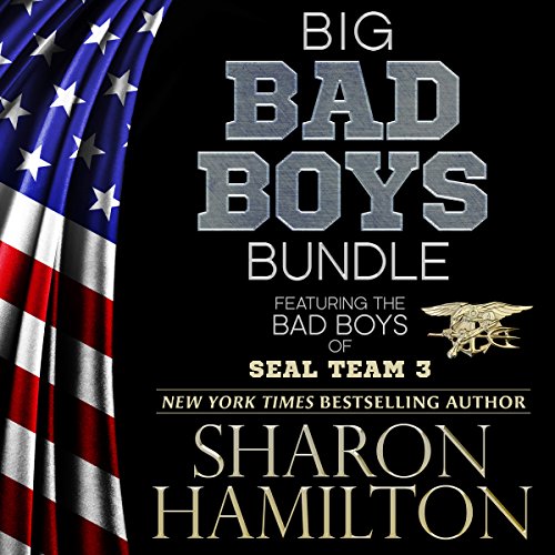 Cover of Big Bad Boys Bundle