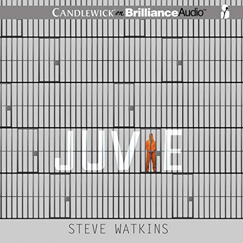 Cover of Juvie