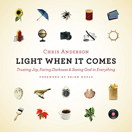 Cover of Light When It Comes