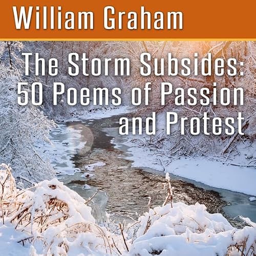 Cover of The Storm Subsides