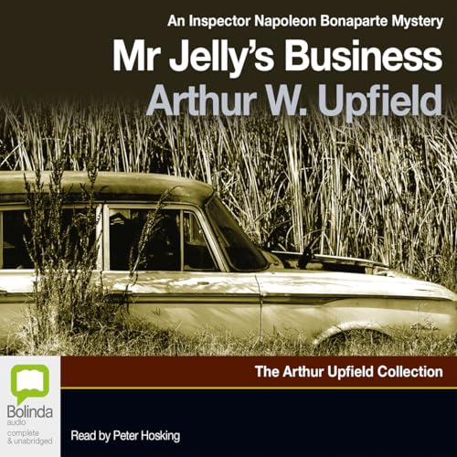 Cover of Mr Jelly’s Business