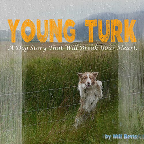 Cover of Young Turk