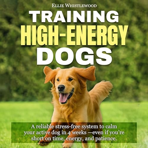 Cover of Training High-Energy Dogs