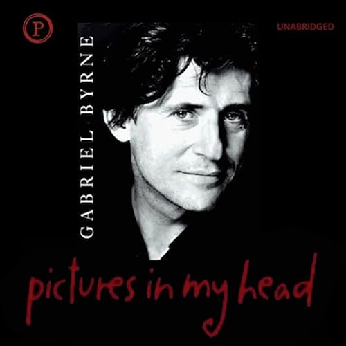 Cover of Pictures in My Head