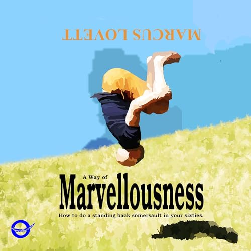 Cover of A Way of Marvellousness
