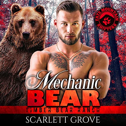 Cover of Mechanic Bear