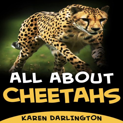 Cover of All About Cheetahs (All About Everything)
