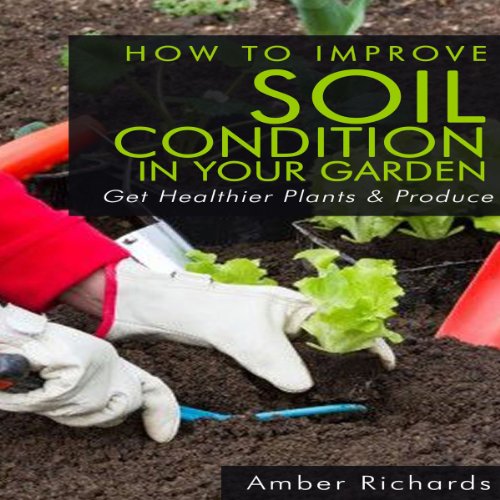 Cover of How to Improve Soil Condition in Your Garden