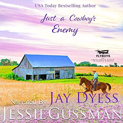 Cover of Just a Cowboy's Enemy
