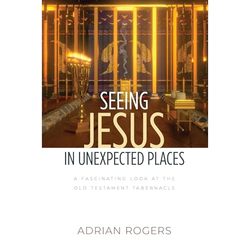 Cover of Seeing Jesus in Unexpected Places