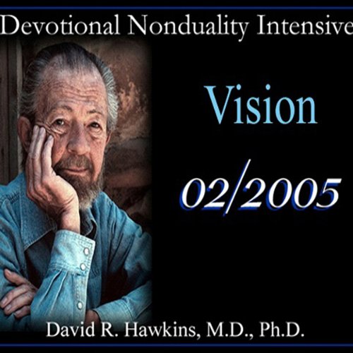 Cover of Devotional Nonduality Intensive: Vision