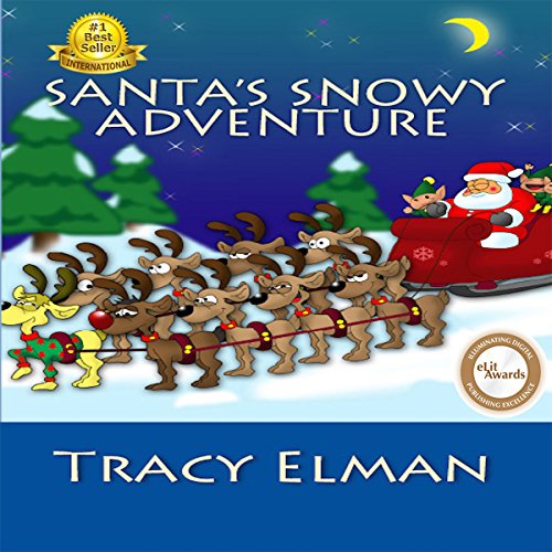 Cover of Santa's Snowy Adventure