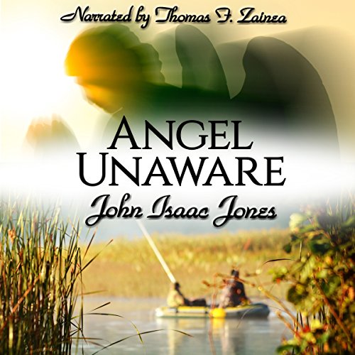 Cover of Angel Unaware