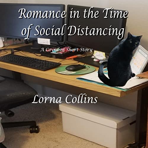 Cover of Romance in the Time of Social Distancing