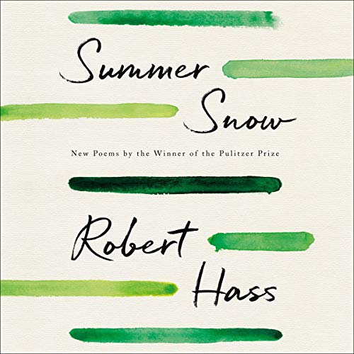 Cover of Summer Snow