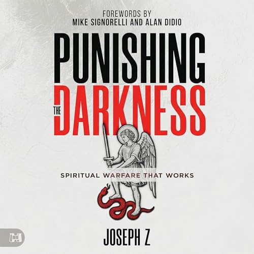 Cover of Punishing the Darkness