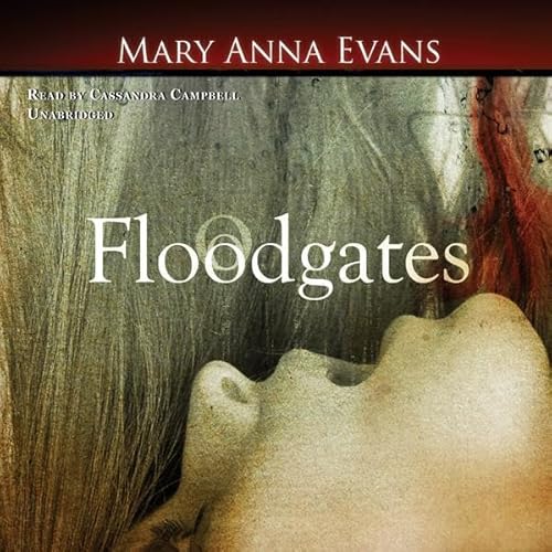 Cover of Floodgates
