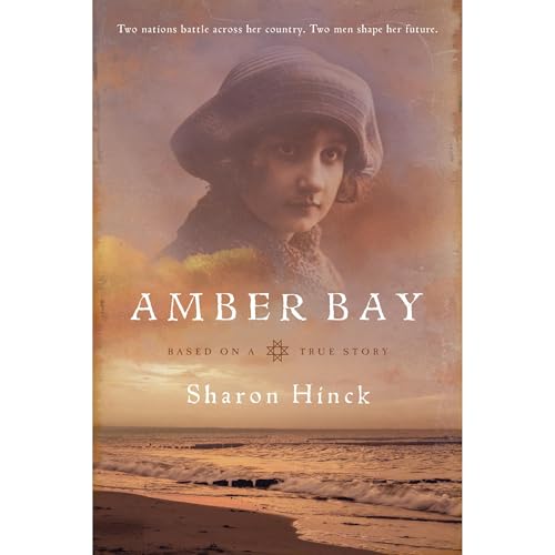 Cover of Amber Bay