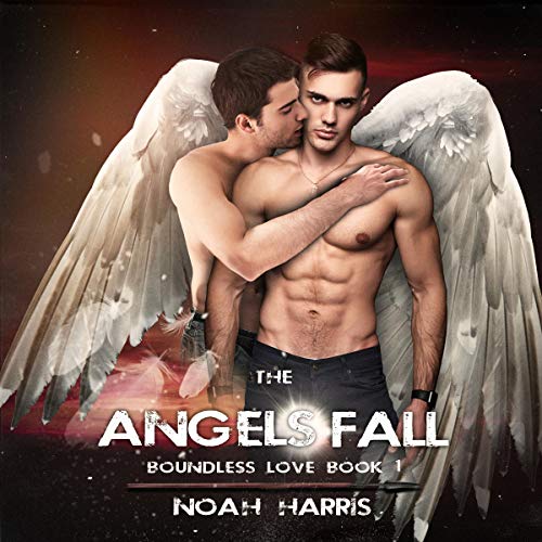 Cover of The Angels Fall