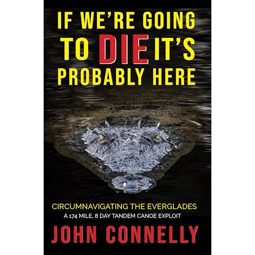 Cover of If We're Going to Die, It's Probably Here