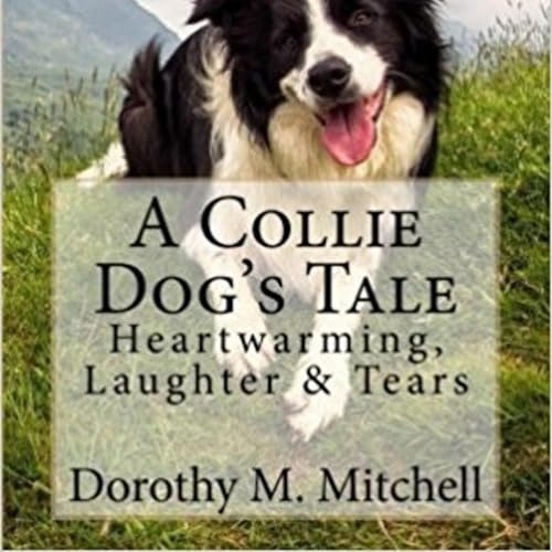 Cover of A Collie Dog's Tale