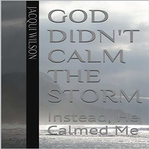 Cover of God Didn't Calm the Storm