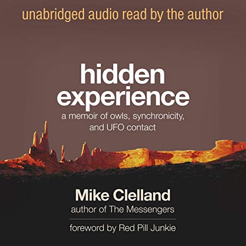 Cover of Hidden Experience