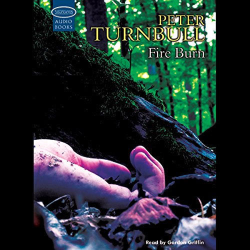 Cover of Fire Burn